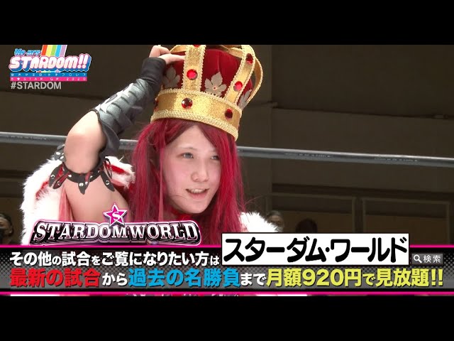 D5　セガール・バトラー・テイタム・ニーソン・ヒットマン・ピット・ジョリー等 AU27 セガール・バトラー・テイタム・ニーソン・ピット