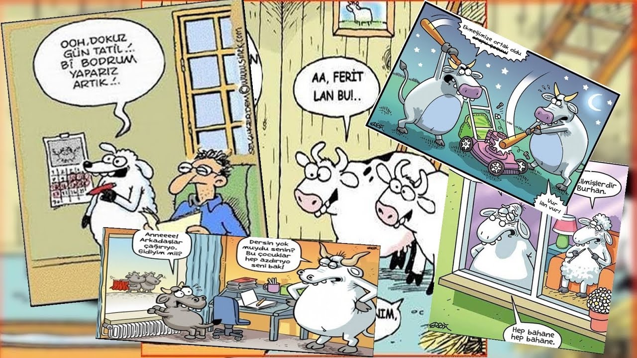 Kurban bayramı karikatürleri Kurban bayramı karikatürleri