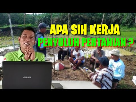 Tugas Pokok Penyuluh Pertanian | Apa Kerja PPL???