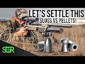 Is it even worth it to shoot slugs in budget airguns