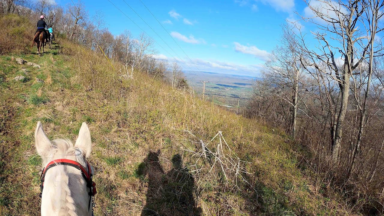 2021 No Frills 55 mile endurance ride - Phin