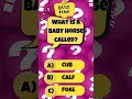 Baby Horse Name for Kids 🐴 | Animal Baby Names Learning Video