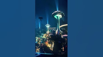 unity at the sphere vegas 🐋