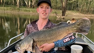 Famous Insane session casting for Murray Cod, Net Worth