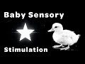 Baby Sensory Stimulation - 5 Hours of Black and White Animated Imagery