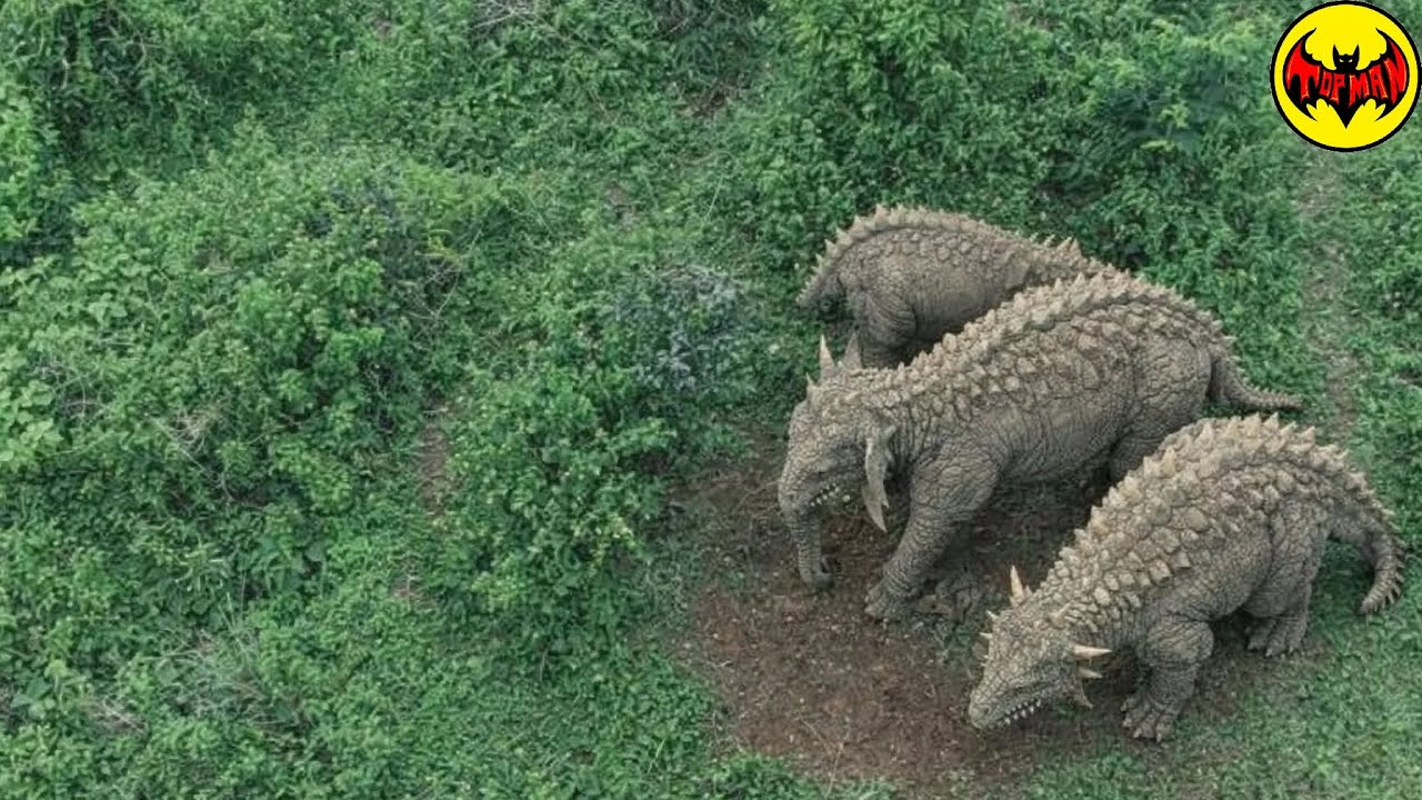 A Drone Captured Something in the Congo Jungle That Defies Explanation