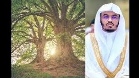 سورة يوسف كاملة بصوت القارئ الشيخ (ياسر الدوسري)