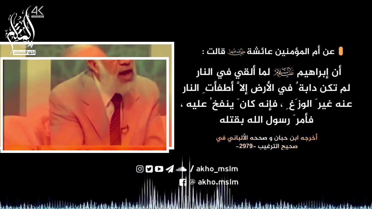 الرد على عمر عبد الكافي في رده لحديث الوزغ بعقله - العلامة محمد بن صالح العثيمين  -رحمه الله-