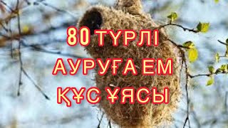 80 түрлі ауруға ем құс ұясы. Халық емі.