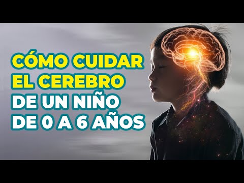 Video: Los 9 conceptos erróneos históricos más populares