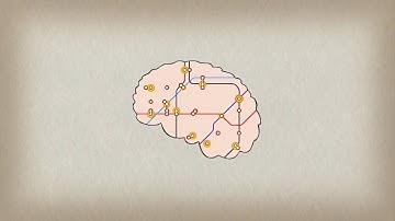 How playing an instrument benefits your brain - Anita Collins