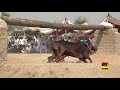 Mela bisakhi bail dour part 07  2019 by najaf studio layyah