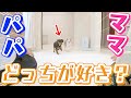 犬が好きなのはパパとママどっち？確かめた結果が悲惨w