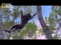 National Geographic Abu Dhabi 13 Mp4 National Geographic Abu Dhabi 13 Mp4