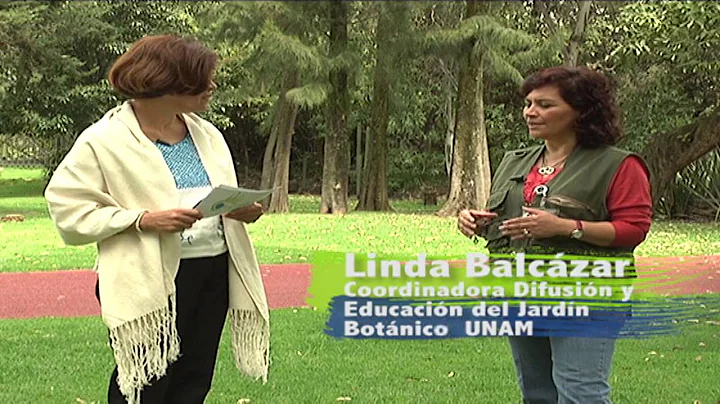 Programa La Meta del Planeta 12 Linda Balcazar Par...