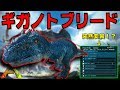 【ARKモバイル】初ギガノトブリーディングやってみたら、突然変異が生まれてた!?【スマホ版ARK】【実況】#11