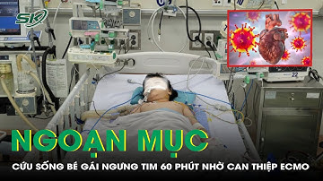 Ngoạn Mục: Cứu Sống Bé Gái Ngưng Tim 60 Phút Nhờ Can Thiệp ECMO | SKĐS