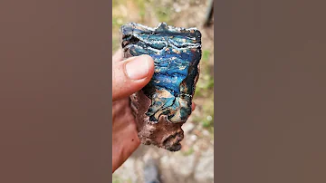 Стабилизированный зуб мамонта