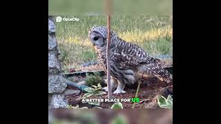 Creating a Better Future  Our Commitment to Change