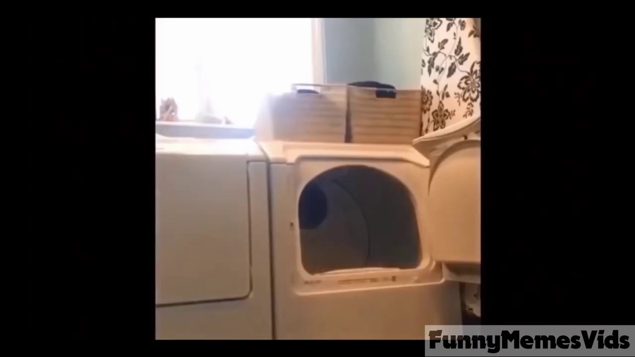 KID STUCK IN A DRYER MEME YouTube