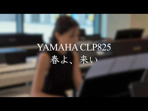 【YAMAHA CLP825ｘ長笛】春よ、來い Cover ｜ 電鋼琴與其他原聲樂器的溫柔共鳴，聽見最自然的琴音