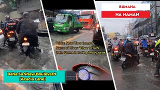 Baha Sa Mandaluyong | Acacia Lane | DP Randoms