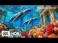 Relaxing Deep Ocean Creatures in 8K HDR | Dolby Vision™