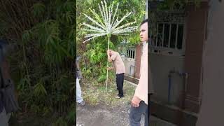Majlis Perkahwinan Anwar U0026 Amira 13 Nov 20224