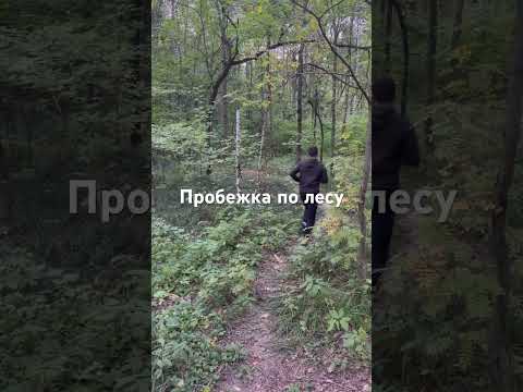 Пробежка по лесу
