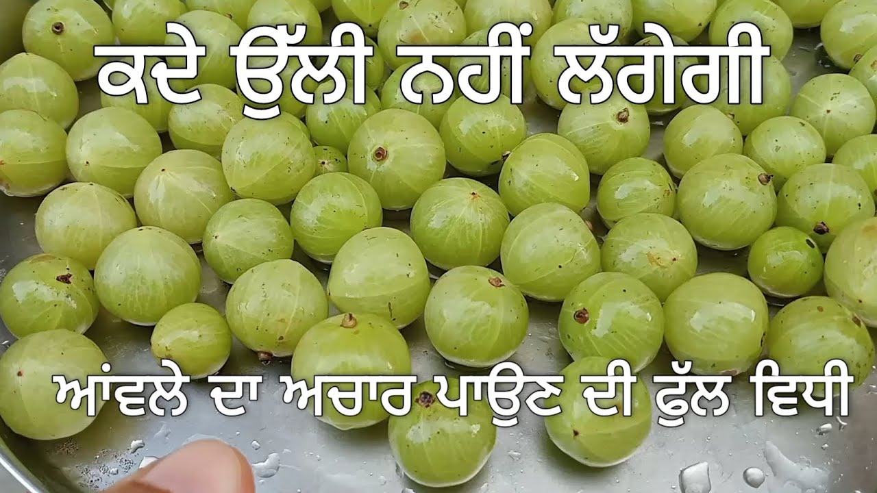 ਸਾਡਾ ਪਾਇਆ ਆਂਵਲੇ ਦਾ ਅਚਾਰ ਕਦੇ ਖ਼ਰਾਬ ਨਹੀਂ ਹੁੰਦਾ, ਫੁੱਲ ਵਿਧੀ #aavla #pickle #picklerecipe #foodblogger