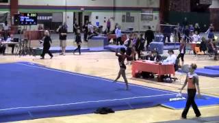 2013 Level 9 Regional Floor Champion