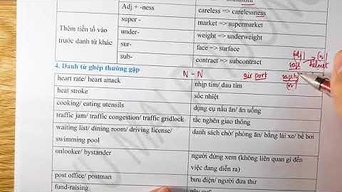 Dạng bài tập về từ tiếng việt có đáp án năm 2024