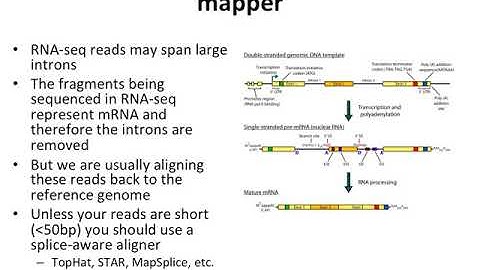 RNA-seq Alignment and Visualization