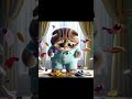 kitten and rattle #cat #cute #sad #catmemes #cutecatcats