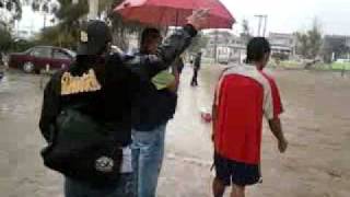 utatave tijuana equipo de tortilleria perez