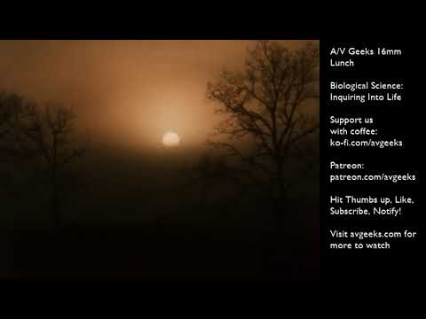 AV Geeks 16mm Lunch 11 24 2025