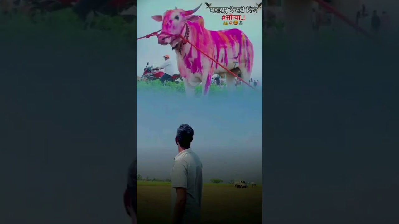 12 February 2026 — Nitin Phadtare YouTube video