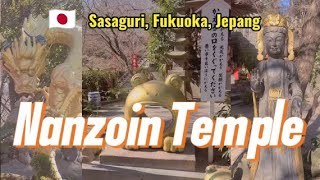 ❄️ Nanzoin Temple (Main Hall / Honden) | Japan Travel Vlog ❄️