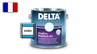 Laque satin&eacute; DELTA XTRAFIX : DELTA