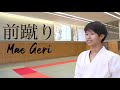Karate Kick Tutorial! List of 7 Kick Names!