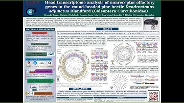 Head transcriptome analysis of nonreceptor... - Brenda Torres-Huerta - Poster - ISCB-LA 2020