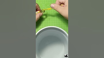 Shorts. The best knot for connecting fishing line with a wobbler, hook. Homer Rhode loop knot.