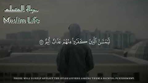 شريف مصطفى سورة المائدة 👍