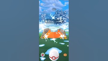 ✨Hisuian Avalugg✨ shiny from raid day boosted chances #pokemongo #shorts #avalugg #mewtwo