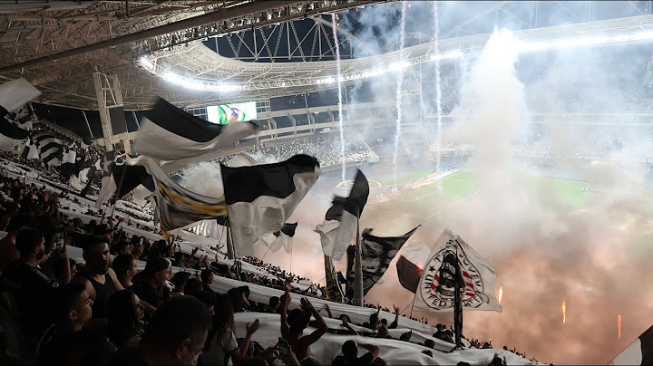 BOTAFOGO 1X0 PALMEIRAS | TORCIDA DO BOTAFOGO
