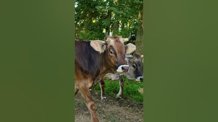 Wonders of Hungary - Krishna Valley, Somogyvámos