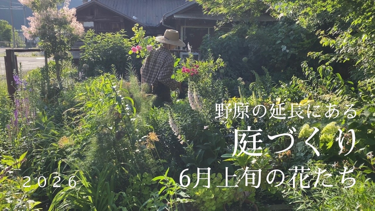 Creating a Garden That Extends into the Wild ] Flowers in Early
