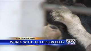 Mississippi agriculture leader addresses Trump’s Argentina beef plan