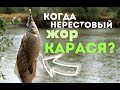 Когда начинается бешенный жор карася? Когда нерест карася в подмосковье?