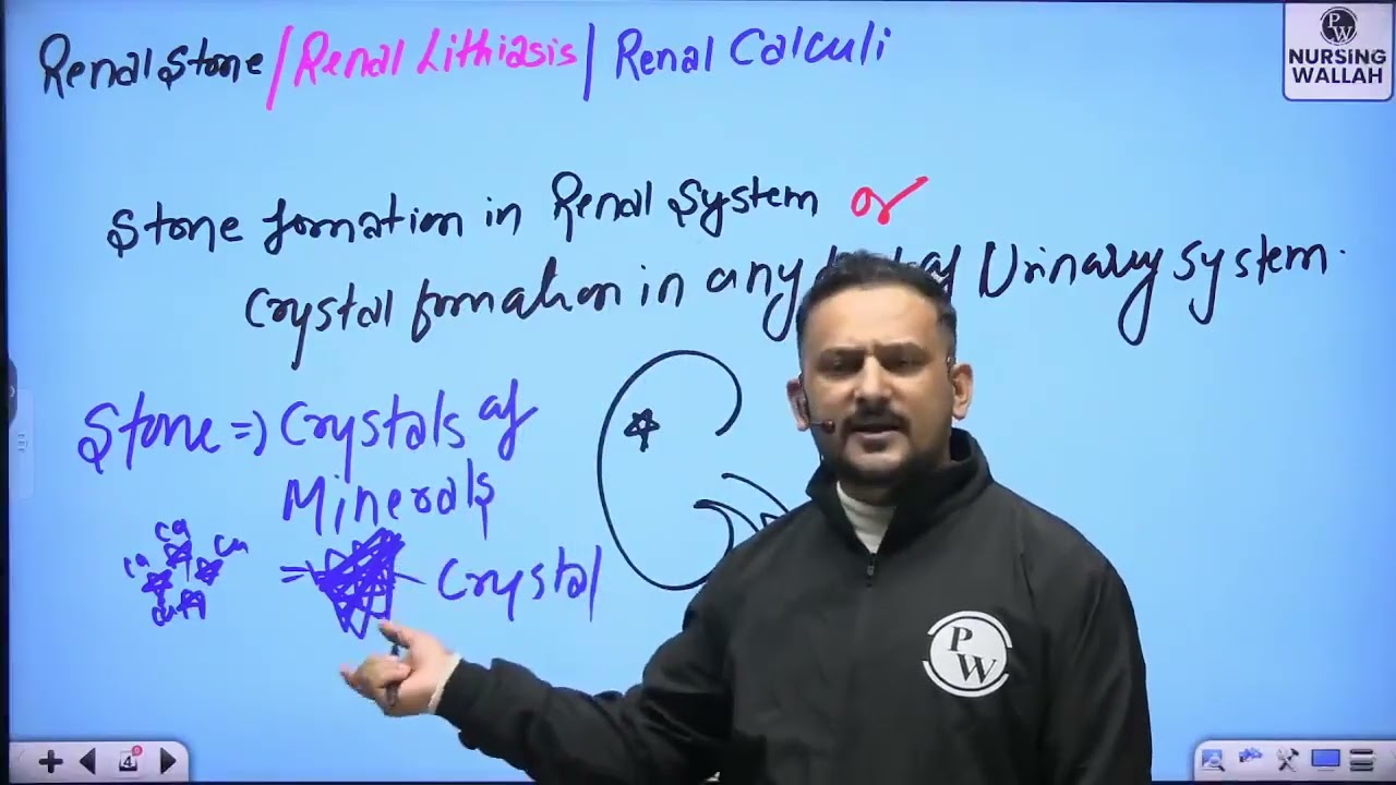 17   Renal System 17   Renal Stone    DPP Quiz Will be Provided Soon